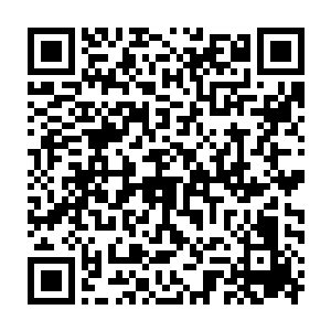 以职业选手的反应很容易就能躲过这个动画效果起码有半秒的大招二维码生成