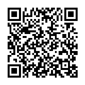 以至于一些世家弟子哪怕无法位列翰林八俊甚至四大才子二维码生成