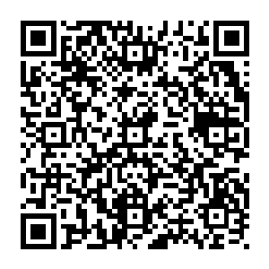 以至于一度吸引到隔壁林安市的不少企业同样抓准了这一机会开始纷纷合作了起来二维码生成