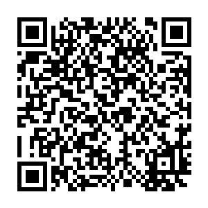 以至于丁长生这个不知道天高地厚的年轻人闯入到自己的生活里时二维码生成