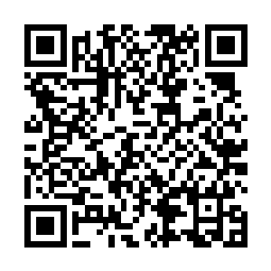 以至于下方很多在冰层上酣睡的强大妖兽刚刚惊醒过来二维码生成