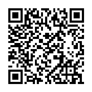 以至于他只能把自己的脑袋和前半截身子藏进去二维码生成