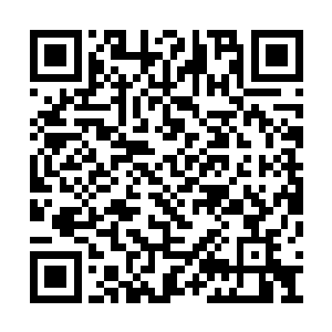以至于他那年不得不向上提出来提前致仕的请求二维码生成
