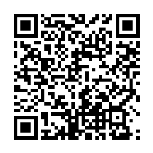 以至于修仙者修行远远无法与远古时代的修士相提并论二维码生成