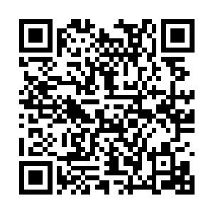 以至于后来妻子会对晏绮宁和晏锦做出那样的事情二维码生成