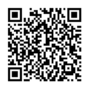 以至于在场的人全部都用一种难以置信的目光瞪着王太师二维码生成