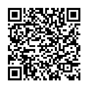 以至于大家只知道黑夜老祖在和某个强大存在战斗二维码生成