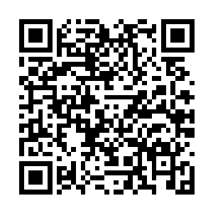 以至于大家都等着看这一次李峰准备再出多少价了二维码生成