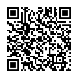 以至于很多人都把三狮佣兵团叫成了狂暴兄弟佣兵团二维码生成