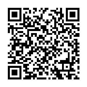 以至于很多红路领军都是非常下作地对普通人下手二维码生成