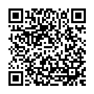 以至于想要挤进林封谨弄出来的这临时班子的人都是要抢破头二维码生成