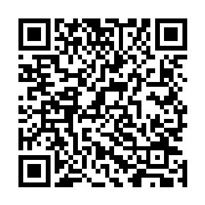 以至于手术刀飞过来他都没反应过来是怎么回事便一命呜呼二维码生成
