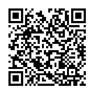 以至于接下来的一切……他就像一个上足了发条的机械二维码生成
