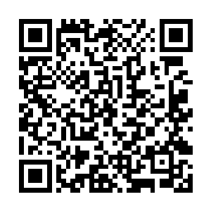 以至于有个来路不明的人一直在这边窥探也没注意到二维码生成