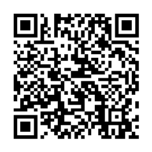 以至于有些失去平衡的楚旬也只能本能地将双臂护在身前二维码生成