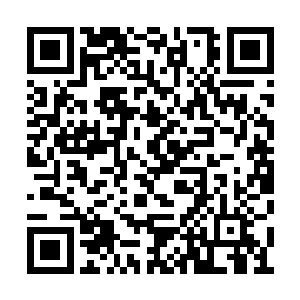 以至于根本无法调动大脑细胞想想该怎样形容她二维码生成