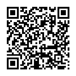 以至于没法更好地利用她的前知优势来给自己牟利二维码生成
