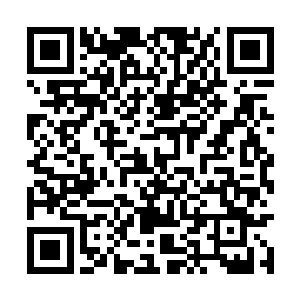 以至于用来制约他权力的长老议会完全失去了作用二维码生成