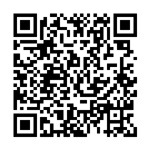 以至于苏林的鲜血都还没来得及从伤口里喷出来二维码生成