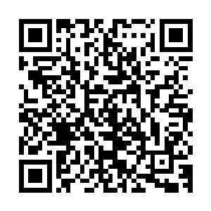 以至于让雨果有些分辨不出到底是莱昂纳多根据史实塑造了兰波二维码生成