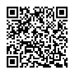 以至于这般舒适的修炼在她们的感觉中就是任务二维码生成