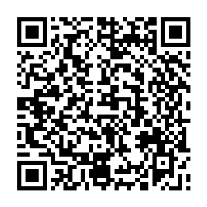 以至于这超级巨人此刻发出的重拳也爆发出了远远超出了他之前任意一击二维码生成