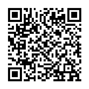 以至于黑铁老二的身体就像是一个储满水的水袋二维码生成