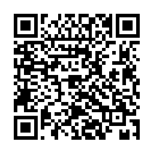 以至于鼻子吹进了一些灰尘或者什么敏感的颗粒之类的二维码生成