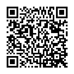 以花灵的意思是只有集齐三样才能让对方能完全掌控妖魔的力量二维码生成