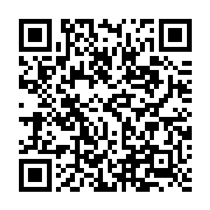 以茉莉传奇中阶的力量绝对无法抵挡炎魔头领的可怕力量二维码生成