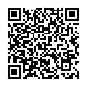 以菲利普斯飞升之前的实力是怎么会拥有这种东西二维码生成