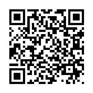 以虚空海鲸这么庞大巨型的海洋生物二维码生成