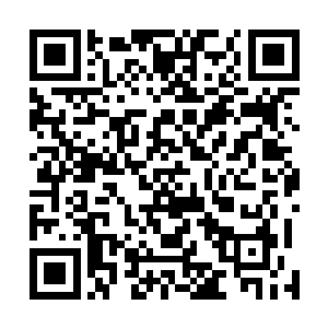 以诙谐的手法融入了对现实社会的种种矛盾与纠葛的思考二维码生成
