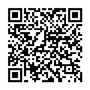 以貌取人的他还仅仅将风天翔当成是个初入狼神的新兵蛋子二维码生成