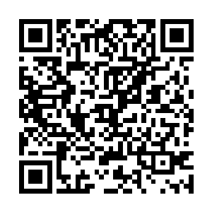 以贾靓儿的手段完全可以让对方脱离那种任务世界二维码生成