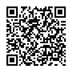 以踏雪无痕墨角腾云兽对她家小幼崽的宠爱程度二维码生成