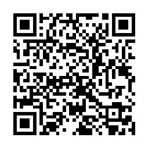 以迅雷不及掩耳之势同时打击广源以南地区的五个县城二维码生成