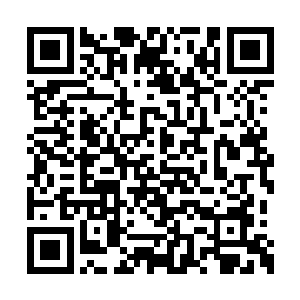 以迅雷不及掩耳之势扑向飞鸿关以内的所有城池二维码生成