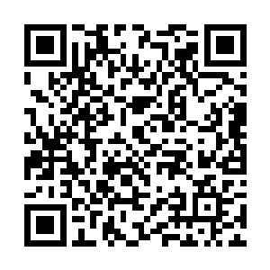 以迅雷不及掩耳之势摘下了那颗熟透了的毒灵果……二维码生成