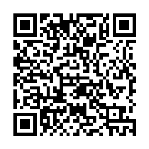 以迅雷不及掩耳之势直接撞入了走廊顶上的天花板里面二维码生成