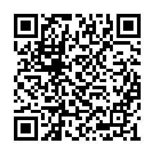 以迅雷不及掩耳之势轰在了那名特殊的雪妖身上二维码生成