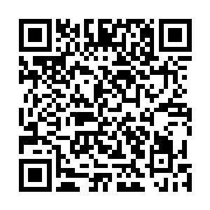 以这两头妖兽异形的力量根本不可能是这黑袍心魔的对手二维码生成