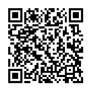 以这个实力与七八个化神初期中期的修真者打斗二维码生成