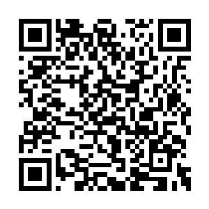 以这只始母虫的力量和这个域外异次元的规模看二维码生成