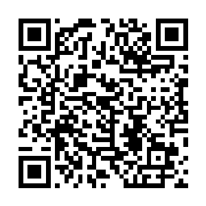 以这机械巨兽的能力绝对不会变化出任何没有用处的器官二维码生成