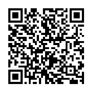 以那些个王级和皇级道士的精血和灵魂来洗礼师弟的善魂……二维码生成