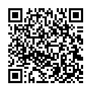 以面前这个少年一击就能让堡垒和疯猎失去战斗力的实力来看二维码生成