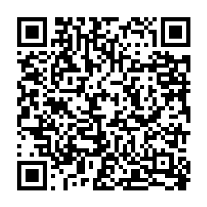 以龙战为首的一众炎黄部落的族人商量了半天后终于做出了决定――先吃饭二维码生成