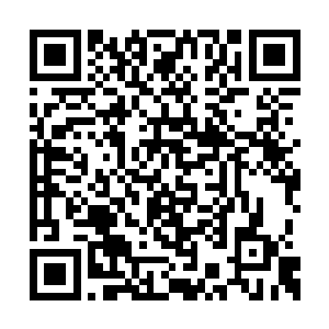 以龙族表现出来的恐怖的力量若是想要争霸的话二维码生成