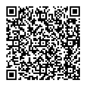 们已经看出来了吴岩并不惧怕这里死亡之气而且好像还能控制那些可怕赤光血蛇跟这样人作对那只能找死二维码生成